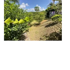  Appartement Lutecia